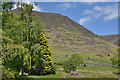 View towards Gategill Fell from Threlkeld