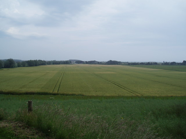 Farmland at Balhungie