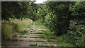 Public footpath on the east side of Desford