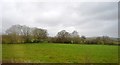 SX9995 : Farmland, Cranbrook by N Chadwick