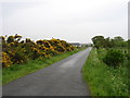 Approaching the A99 from Hillhead, Lybster