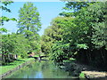 The New River north of Cozens Lane West, EN10