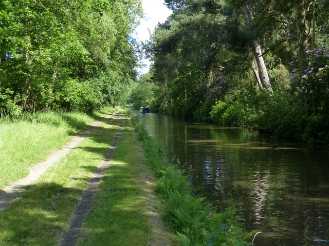 Trent & Mersey Canal at Ravenshaw Wood