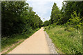 Path in the Town Park