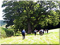 Llwybr Ceffyl Gaer Bridleway