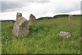 Aquhorthies Recumbent Stone Circle (8)