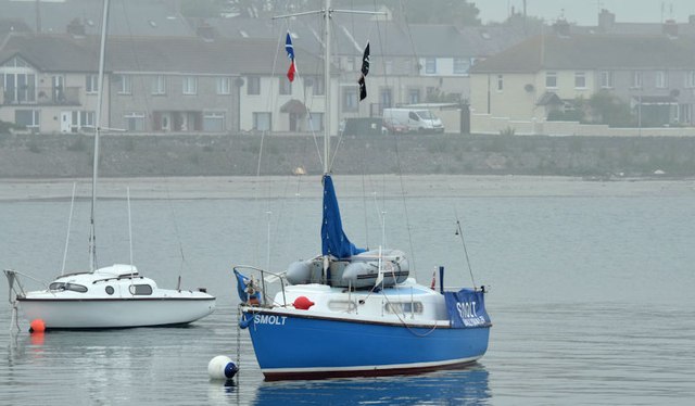 Yachts and mist, Ballywalter harbour (July 2015)