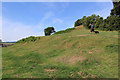 Strip Lynchets on Brympton Hill