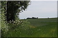 Fields beside Cut Lane, Clieves Hill, Aughton