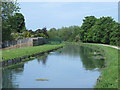 The New River by Broxbourne station