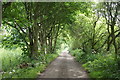 Broad Lane, Formby Moss