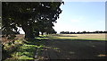 A tree-lined footpath in Suffolk