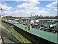 House boats near Battersea Bridge