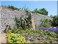 Roses on Wall in Kipling Gardens