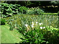 TQ5137 : Pond in the gardens of Burrswood Hospital by Marathon