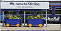 NS7993 : Welcome to Stirling by Thomas Nugent