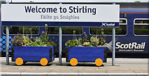 NS7993 : Welcome to Stirling by Thomas Nugent