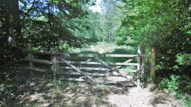 Foxhunting Inclosure, gate © Mike Faherty cc-by-sa/2.0 :: Geograph ...