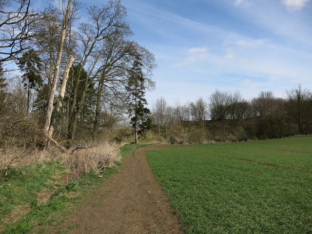 Devil's Ditch © Hugh Venables :: Geograph Britain and Ireland