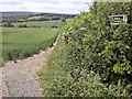 Public Footpath from Wales Bar to Rother Valley