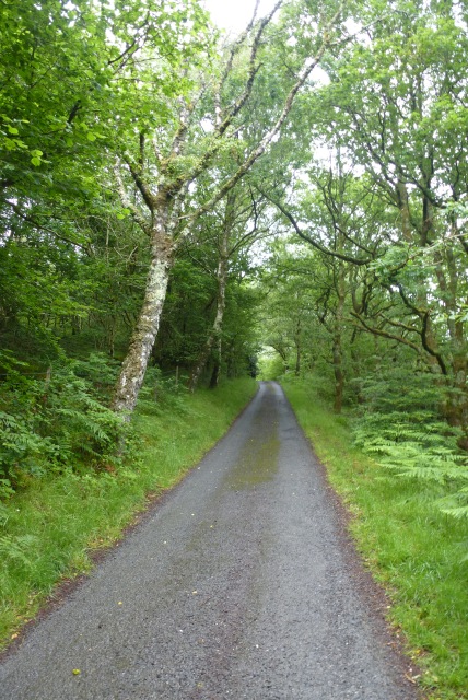 Road to the nature reserve