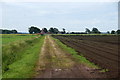 Track to Green Kettle House, Halsall Moss