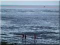 TF6638 : Mud glorious mud - North Beach, Heacham by Richard Humphrey