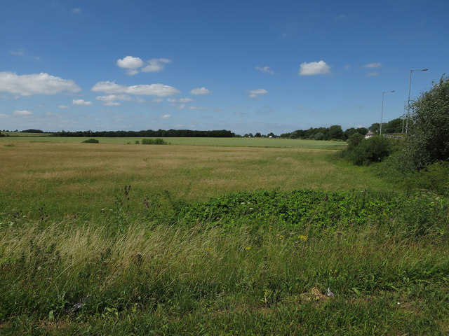 Fields by Swavesey A14 junction