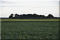 Fields on Carr Moss Lane, Halsall