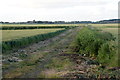 Farm track, Gettern Mere Farm, Carr Moss Lane, Halsall