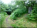 Beacon Hill, Trellech