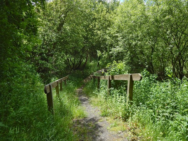 Descending Path © Lairich Rig Geograph Britain And Ireland