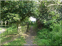 ST8615 : St Bartholomew, Sutton Waldron: church path  by Basher Eyre