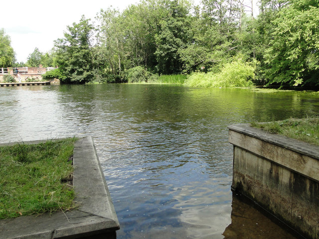 Horstead mill-pond on the River Bure