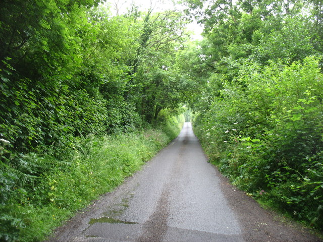 The lane to Bishopswood