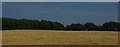 Field and woodland north of the railway line, near Yockleton