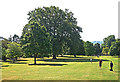 Trees in Pittville Park, Cheltenham