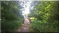 Small Bridge to School Field