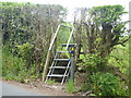 H8713 : Ladder stile by Michael Dibb