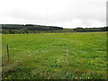 Cavanalee Townland