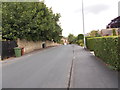 Manygates Lane - viewed from Castle Road West