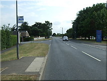 TL8783 : Bus stop on Croxton Road by JThomas