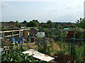 Allotments, Thetford