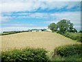 Drumlin slope hay field below hill-top farm buildings