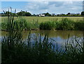 Trent & Mersey Canal near Colwich