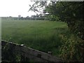 Farmland near Millside