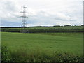 NT6041 : Fieldscape at East Morriston by M J Richardson