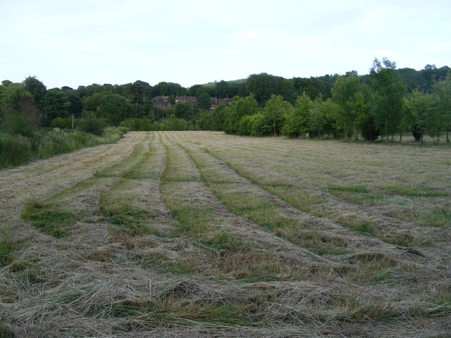 Freshly mown meadow at Millennium Wood, Duckmore Lane, Tring