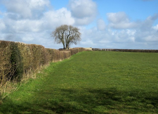 Field by the B3257