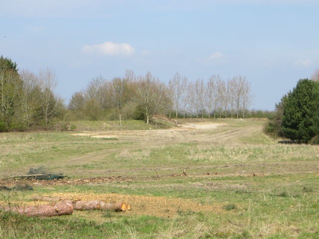 Cleared Area